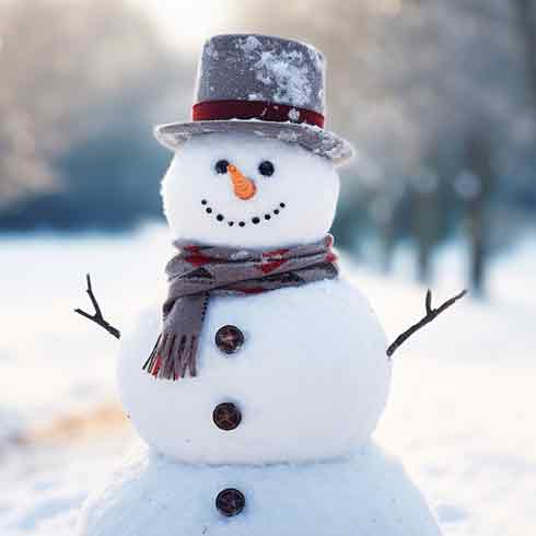 a snowman with a hat and scarf